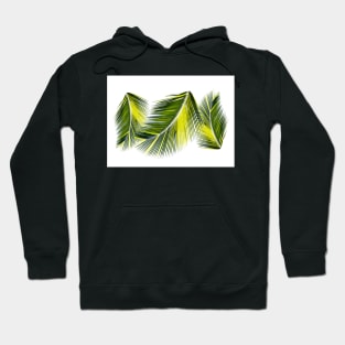 Palm leaves tropical design Hoodie